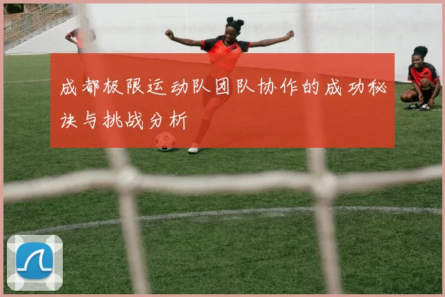 成都极限运动队团队协作的成功秘诀与挑战分析