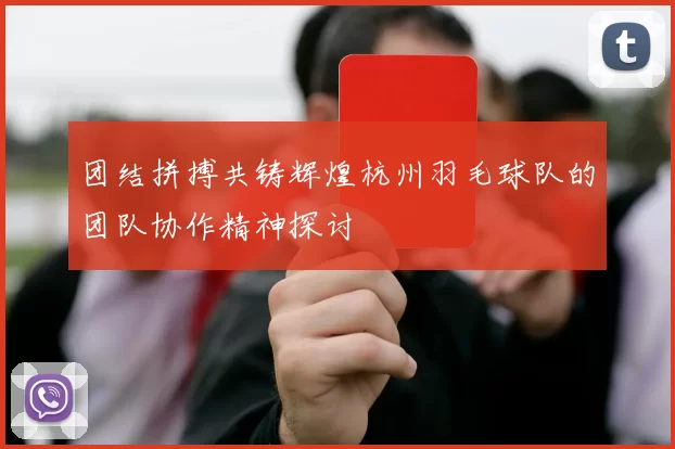 团结拼搏共铸辉煌杭州羽毛球队的团队协作精神探讨