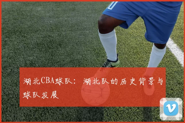 湖北CBA球队：湖北队的历史背景与球队发展