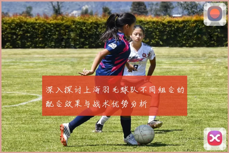 深入探讨上海羽毛球队不同组合的配合效果与战术优势分析