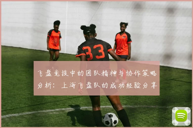 飞盘竞技中的团队精神与协作策略分析：上海飞盘队的成功经验分享