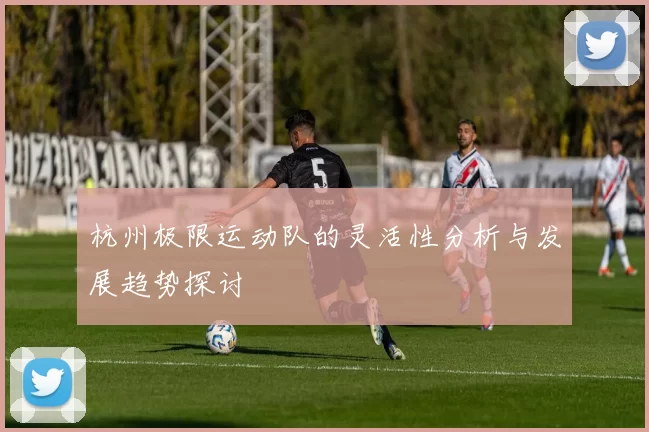 杭州极限运动队的灵活性分析与发展趋势探讨