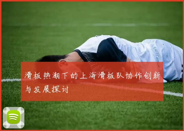 滑板热潮下的上海滑板队协作创新与发展探讨