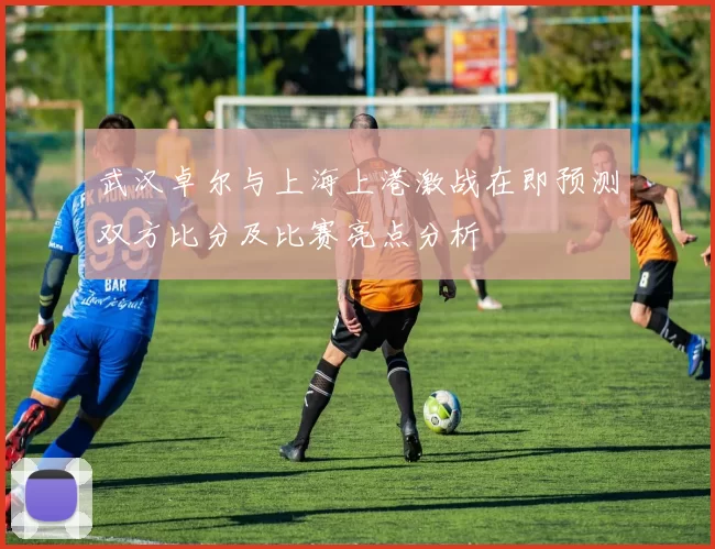 武汉卓尔与上海上港激战在即预测双方比分及比赛亮点分析