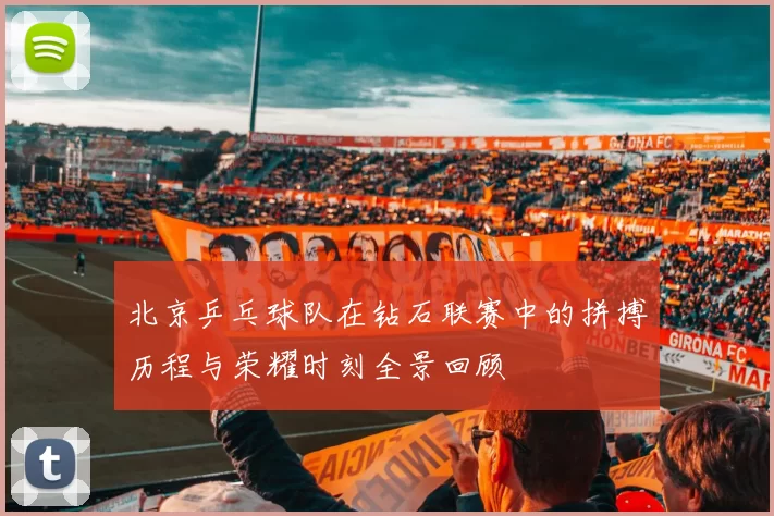 北京乒乓球队在钻石联赛中的拼搏历程与荣耀时刻全景回顾