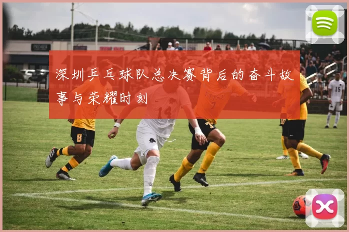 深圳乒乓球队总决赛背后的奋斗故事与荣耀时刻