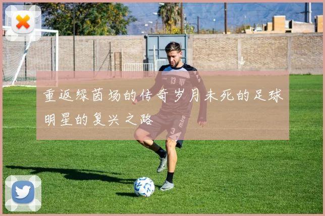 重返绿茵场的传奇岁月未死的足球明星的复兴之路