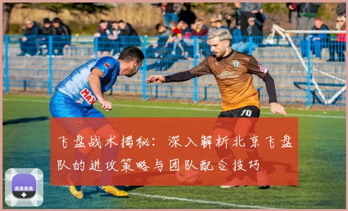 飞盘战术揭秘：深入解析北京飞盘队的进攻策略与团队配合技巧