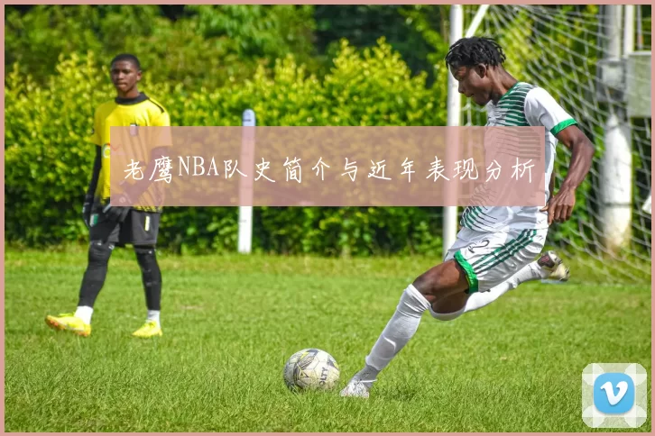 老鹰NBA队史简介与近年表现分析