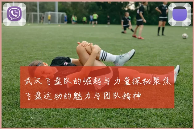 武汉飞盘队的崛起与力量探秘聚焦飞盘运动的魅力与团队精神