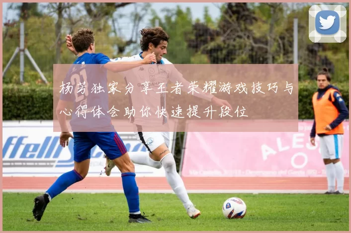 杨芳独家分享王者荣耀游戏技巧与心得体会助你快速提升段位