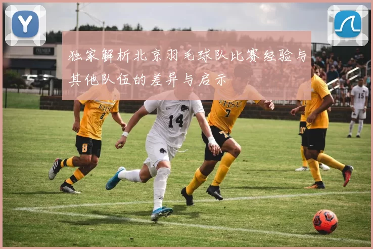 独家解析北京羽毛球队比赛经验与其他队伍的差异与启示