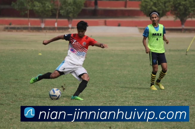 今年会jinnianhui金字招牌全站App